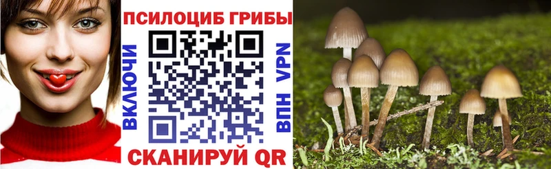 Галлюциногенные грибы GOLDEN TEACHER  где купить наркоту  Череповец 