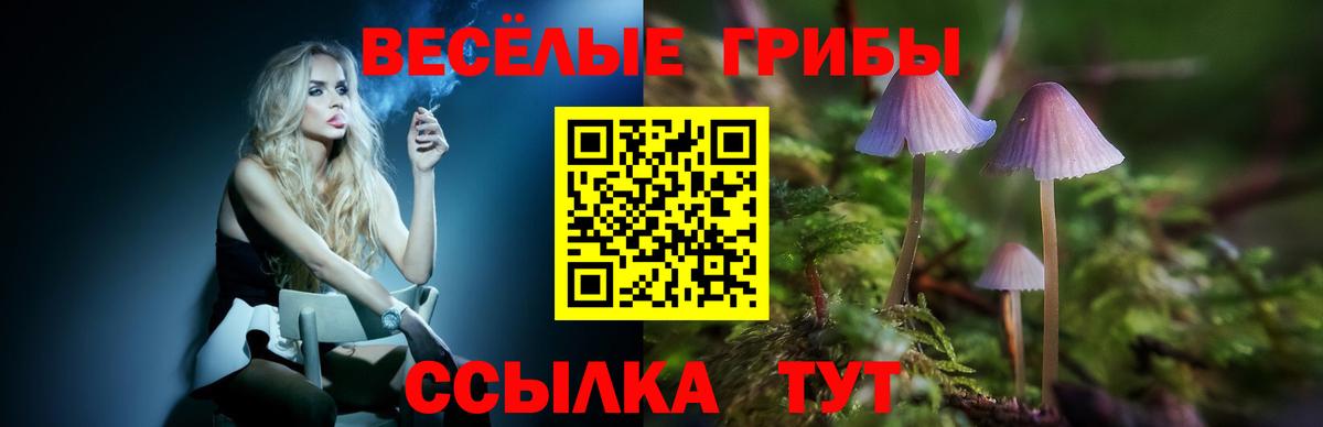 Псилоцибиновые грибы Psilocybe  Вход с VPN  Череповец  Псилоцибиновые грибы мицелий 