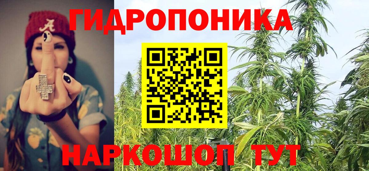 Каннабис планчик  Вход с VPN  Бошки Шишки планчик  Череповец  Каннабис Amnesia 